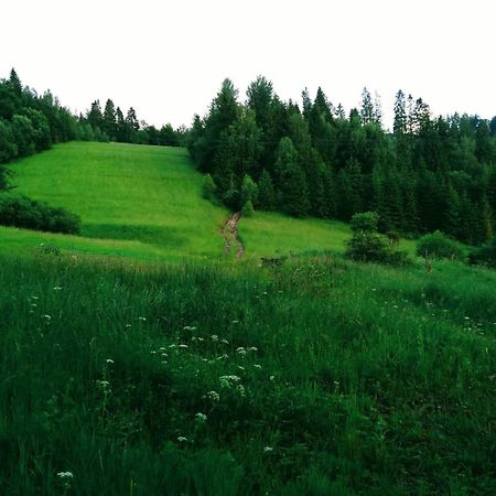 Domek W Gorach Pod Rysianka Zlatna Exteriér fotografie