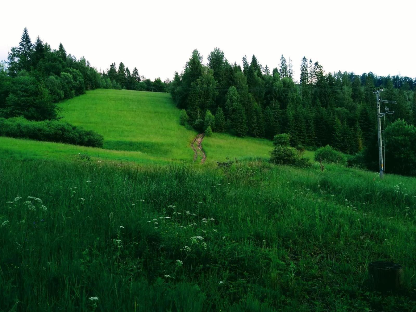 Domek W Gorach Pod Rysianka Zlatna Exteriér fotografie