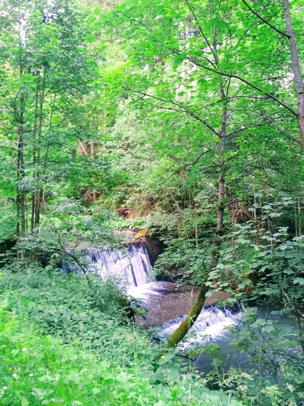 Domek W Gorach Pod Rysianka Zlatna Exteriér fotografie